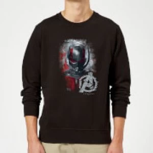 Image of Avengers Endgame Ant Man Brushed Sweatshirt - Black - M