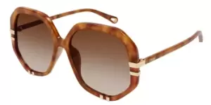 Image of Chloe Sunglasses CH0105S 003