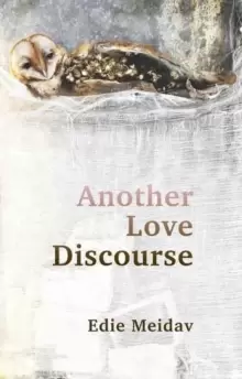 Image of Another Love Discourse