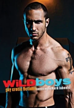 Image of Wild Boys by Richard Labont Book