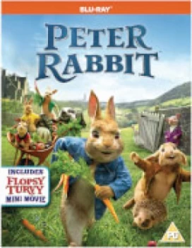 image of Peter Rabbit