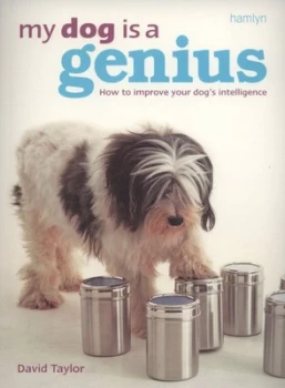 Image of My Dog Is a Genius by David Taylor Paperback