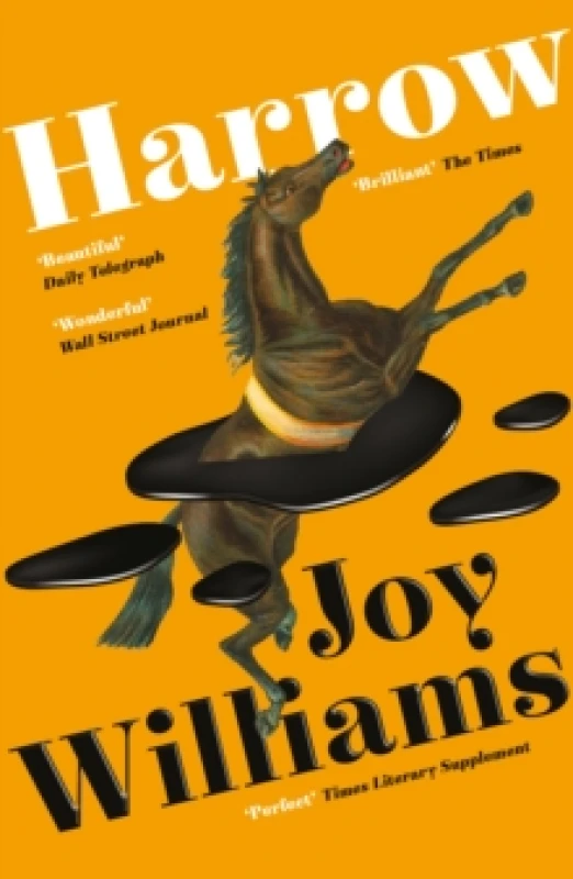 Image of Harrow Paperback / softback