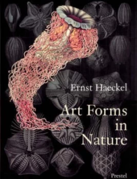 Image of Art Forms in Nature by Olaf Breidbach and Irenus Eibl-Eibesfeldt and Richard Schaffer- Hartmann Paperback