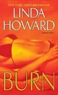 Image of burn a novel