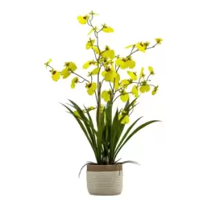 Image of Gallery Interiors Begbie Potted Oncidium Orchid Yellow / Large