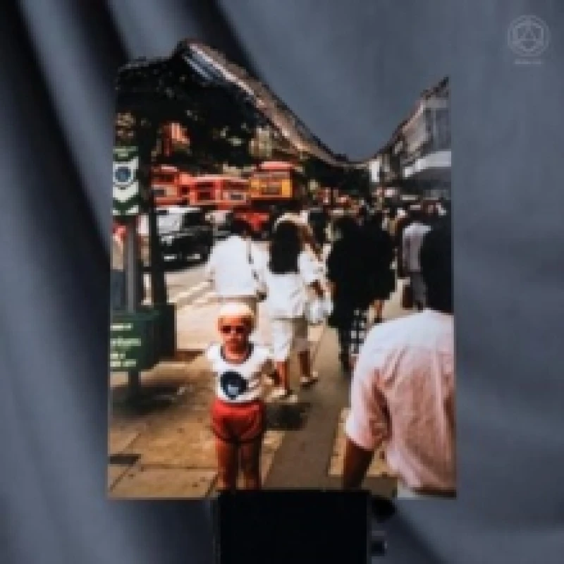 Image of Sott Vinyl