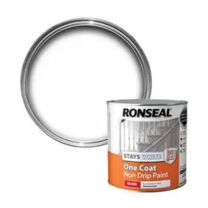 image of Skip20A Ron Paint Onecoat Stays White Gl