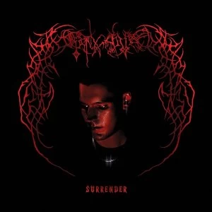 Image of Endgame - Surrender Vinyl