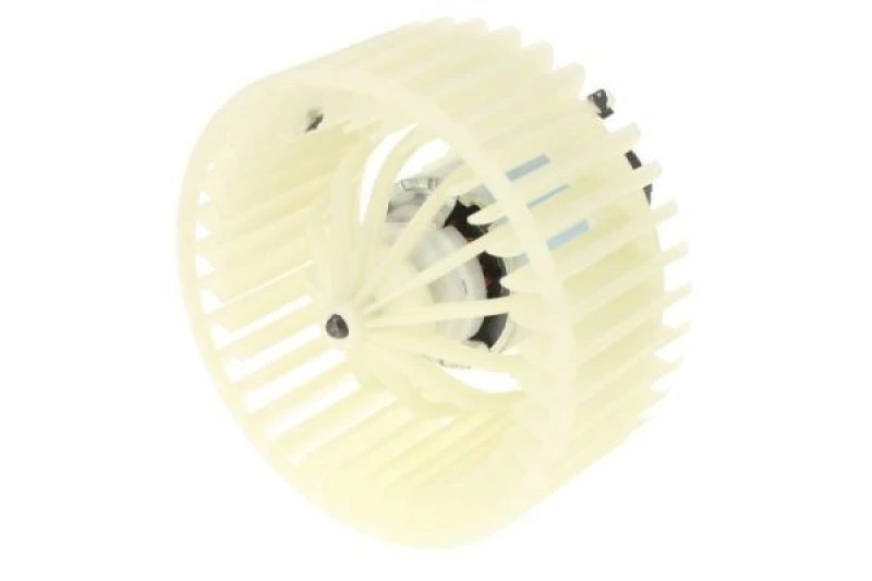 Image of THERMOTEC Blower motor THERMOTEC DDF002TT