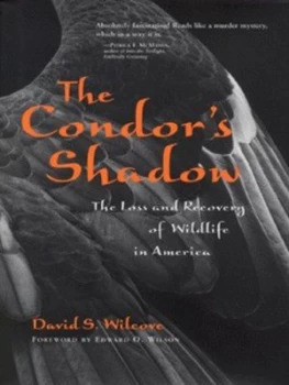 Image of The Condors Shadow by David S Wilcove Hardback