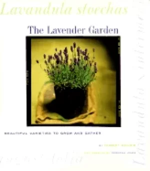 Image of lavender garden beautiful varieties to grow and gather