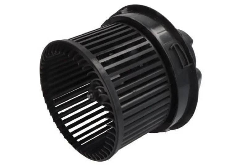 Image of THERMOTEC Blower motor THERMOTEC DDP015TT