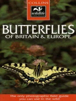 Image of Collins Guide to Butterflies by Michael Chinery Book
