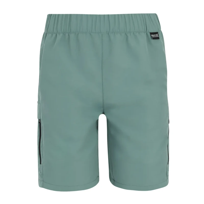 Image of Children's hiking shorts Regatta Sorcer III Vert Unisex 14 ans