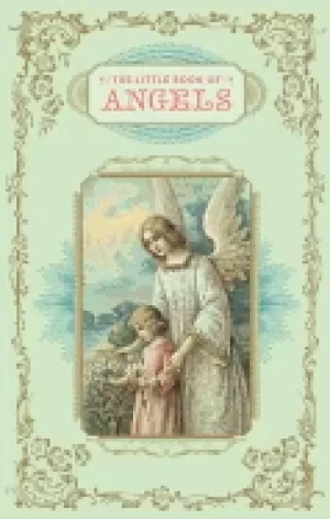 Image of little book of angels