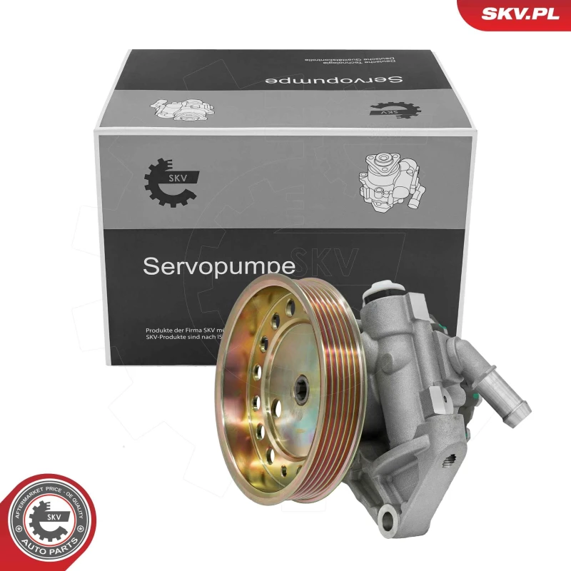 Image of ESEN SKV Power steering pump ESEN SKV 10SKV317