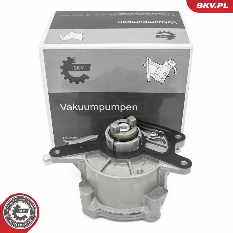 Image of ESEN SKV Brake vacuum pump ESEN SKV 18SKV073