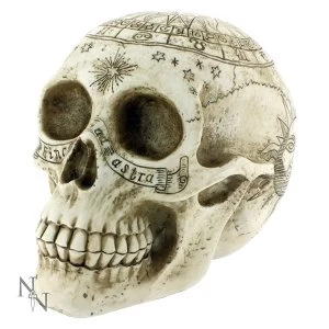 Image of Astrological Skull