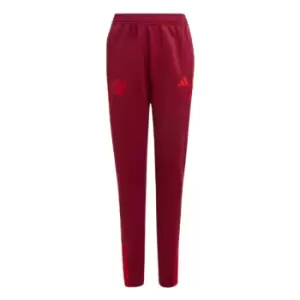 image of 2023-2024 Man Utd EU Training Pants (Burgundy) - Kids