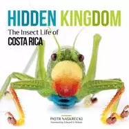 Image of hidden kingdom the insect life of costa rica