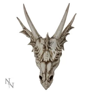 image of The Last Dragon Skull