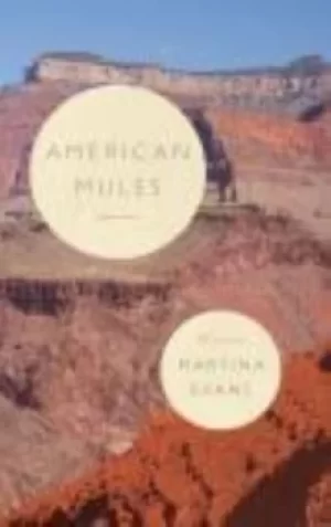 Image of American mules by Martina Evans