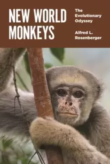 Image of New World Monkeys : The Evolutionary Odyssey