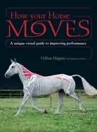 Image of how your horse moves a unique visual guide to improving performance
