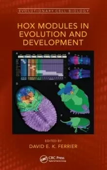 Image of Hox Modules in Evolution and Development