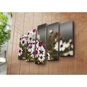 Image of 5NATPAT-2 Multicolor Decorative Canvas Painting (5 Pieces)