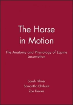 Image of The Horse in Motion by Sarah Pilliner Paperback