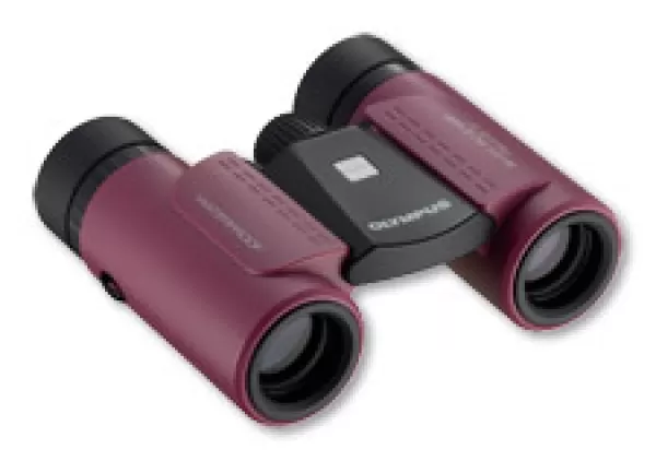 Image of Olympus 8x21 RC II WP