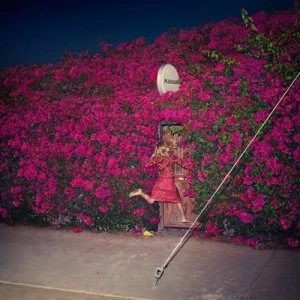 Image of Pleasure by Feist CD Album