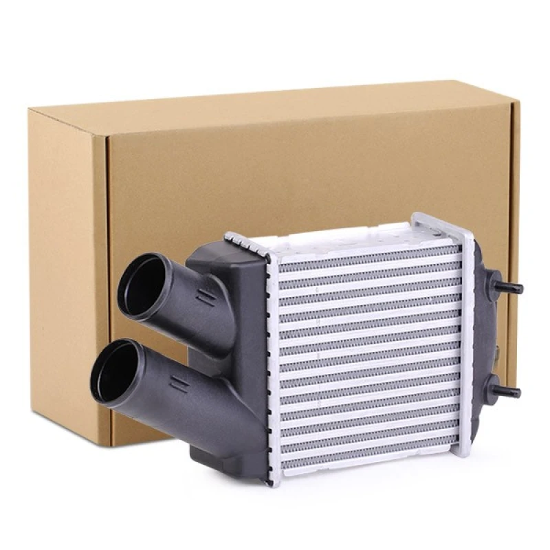 Image of Intercooler RIDEX 468I0061