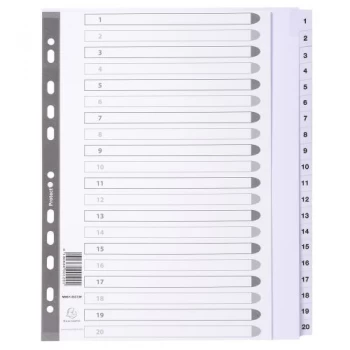 Image of Dividers Mylar A4 Maxi White 1-20