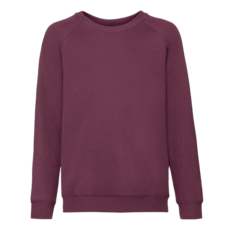 Image of Fruit Of The Loom Classic boys's Children's sweater in Multicolour