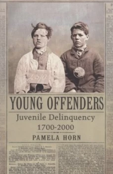 Image of Young Offenders by Pamela Horn Hardback