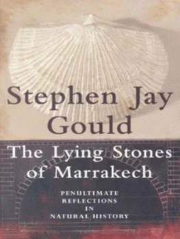 Image of The Lying Stones of Marrakech by Stephen Jay Gould Hardback