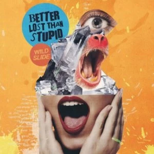 Image of Wild Slide Vinyl