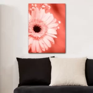Image of 12551776512_70100 Multicolor Decorative Canvas Painting