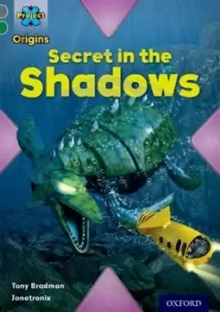 Image of Secret in the shadows by Tony Bradman