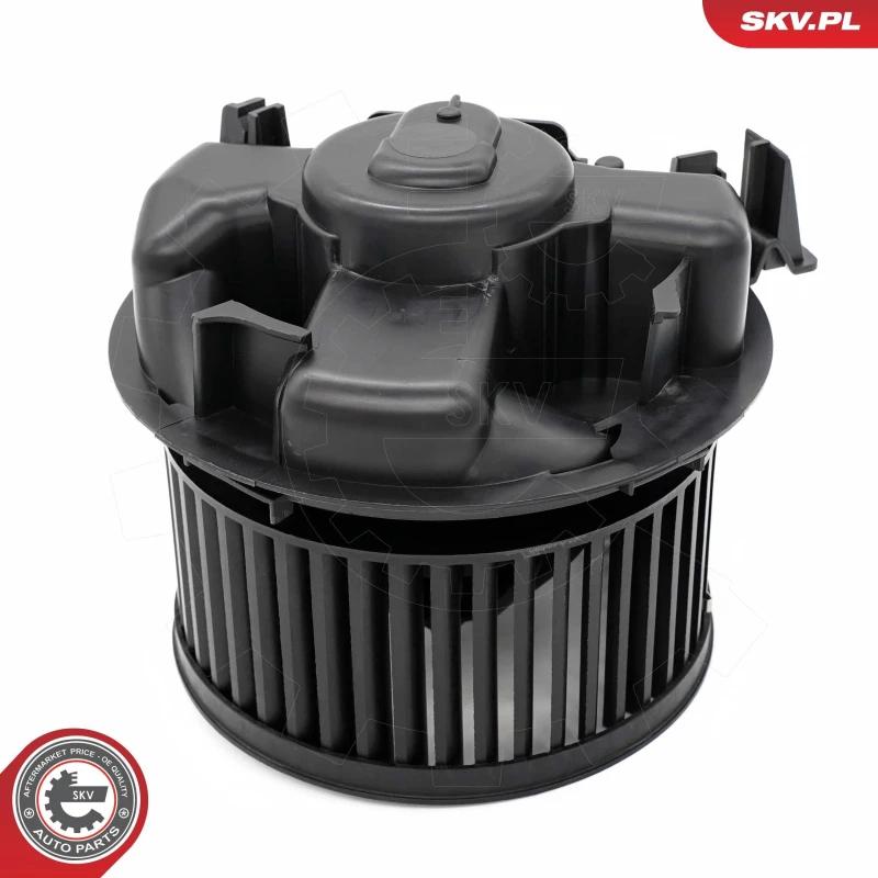 Image of ESEN SKV Blower motor ESEN SKV 68SKV132
