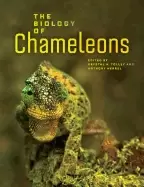 Image of biology of chameleons