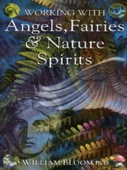 Image of Working with Angels Fairies and Nature Spirits by William Bloom Paperback