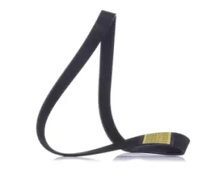 Image of RIDEX V-ribbed belt FIAT,NISSAN,ALFA ROMEO 305P0186 60607387,60617858,500388408 60617858,60812329,117203VU0C
