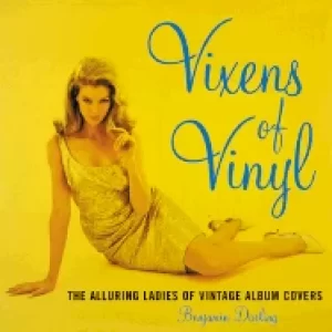 Image of vixens of vinyl