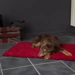 Image of Scruffs Noodle Dog Drying Mat Red