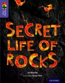 Image of Oxford Reading Tree TreeTops inFact: Level 11: Secret Life of Rocks