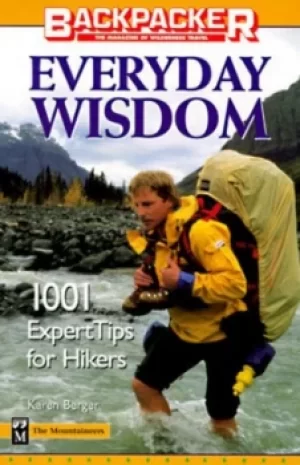 Image of Everyday wisdom by Karen Berger